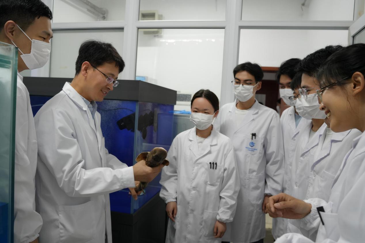 顾玉超教授（左二）指导学生做鲨鱼免疫实验。受访者供图
